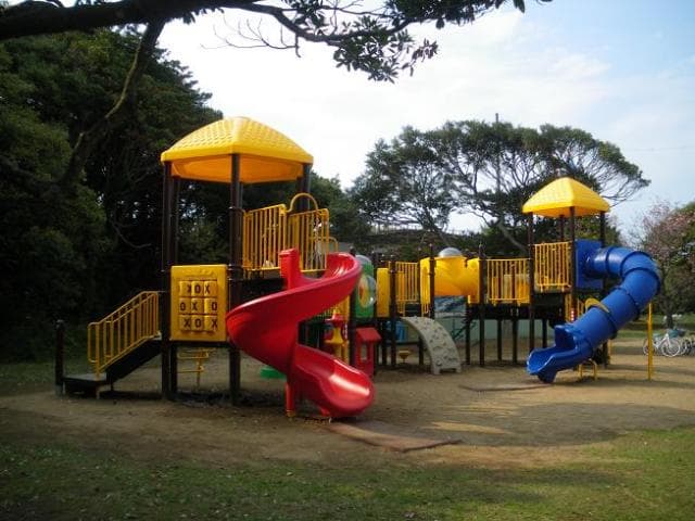 Compound playground equipment