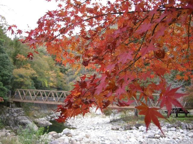 Yamano Gorge Momiji