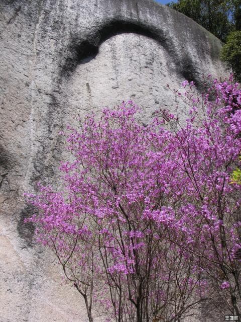 Maitreya Great Cliff Buddha