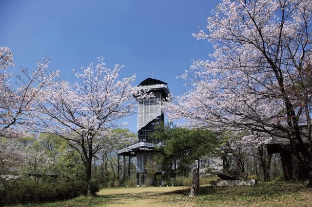 Ninomiyayama Observation Tower