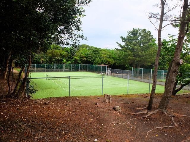 Tennis court