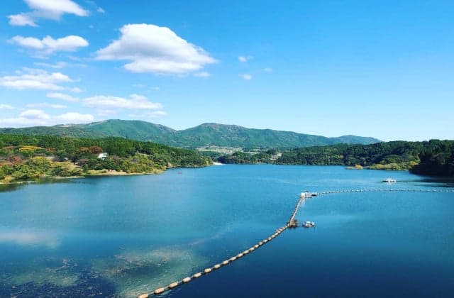 The view from the rest area