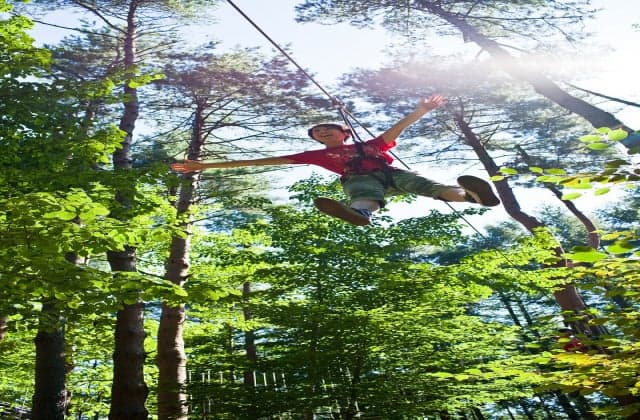 Forest Adventure Misato