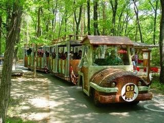 Park train