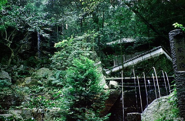 Plain Falls