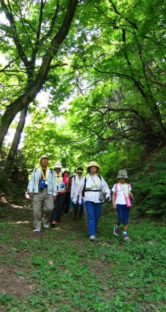 Path of History Walk