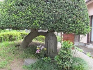 Kasa Jizo photo