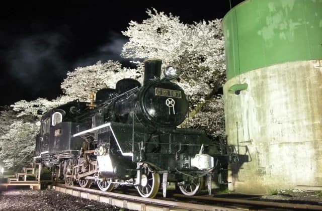 Cherry blossoms