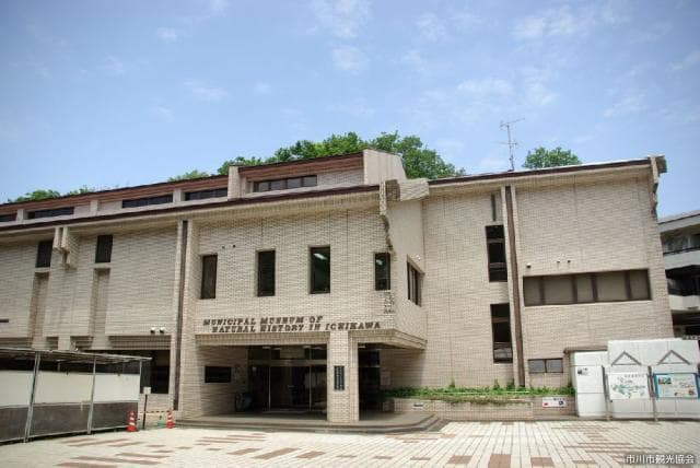 Ichikawa Nature Museum