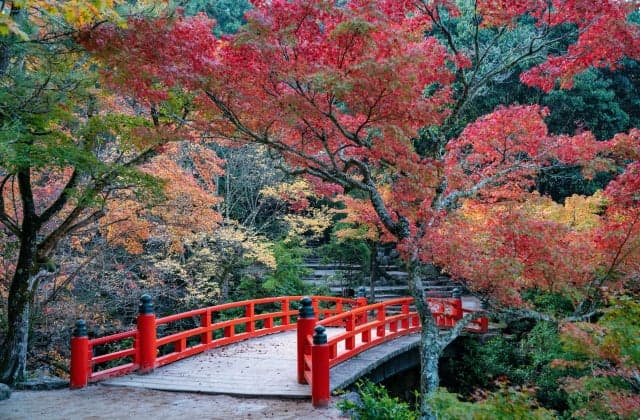Momiji Bridge