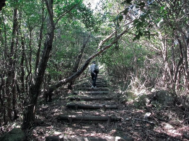 Osakoshi Trail