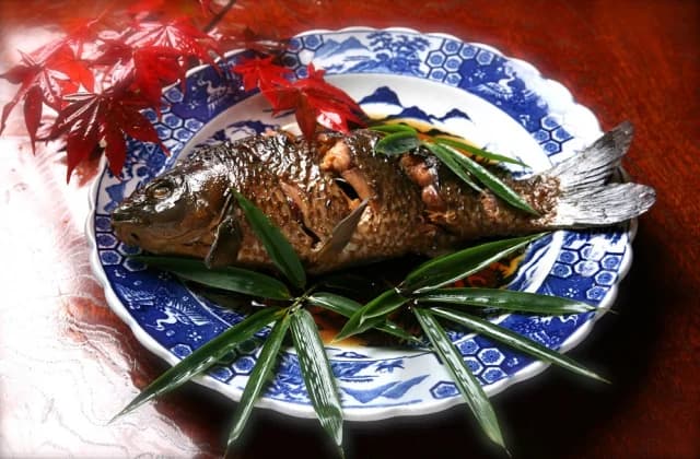Koi dishes