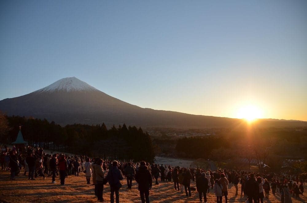 富士宮市　まかいの牧場内　羊の放牧場