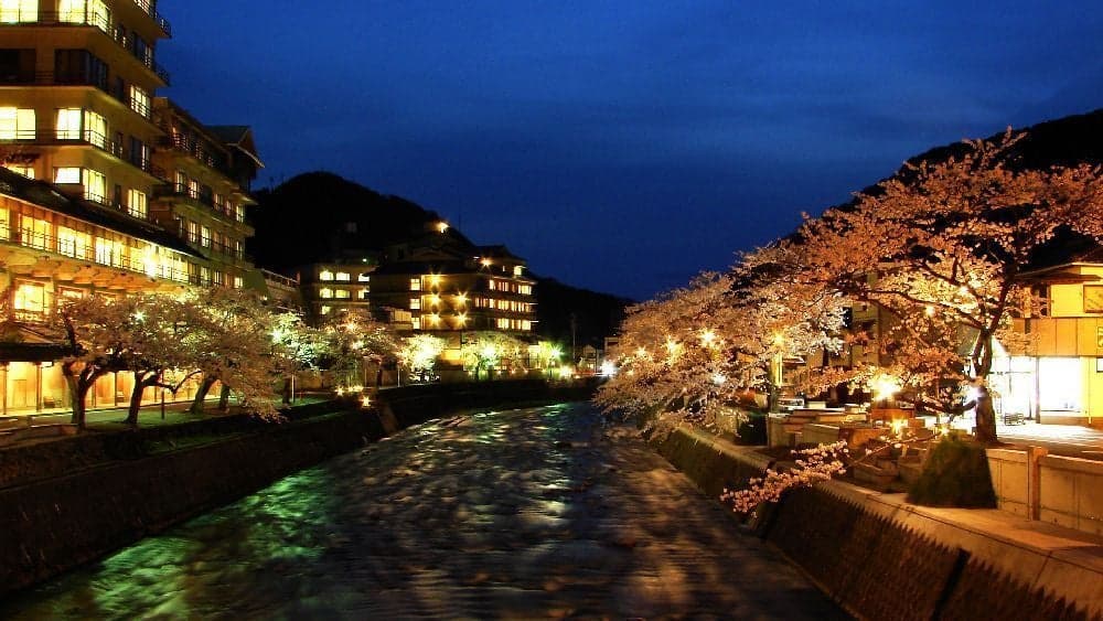 Atsumi Onsen Cherry Blossoms on the banks of the Onkai River