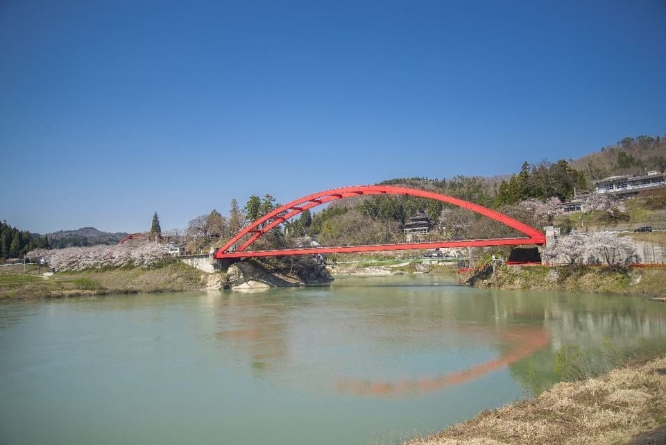 Cherry blossoms around Enzo-ji Temple of Fukuman Kokuzo Bosatsu