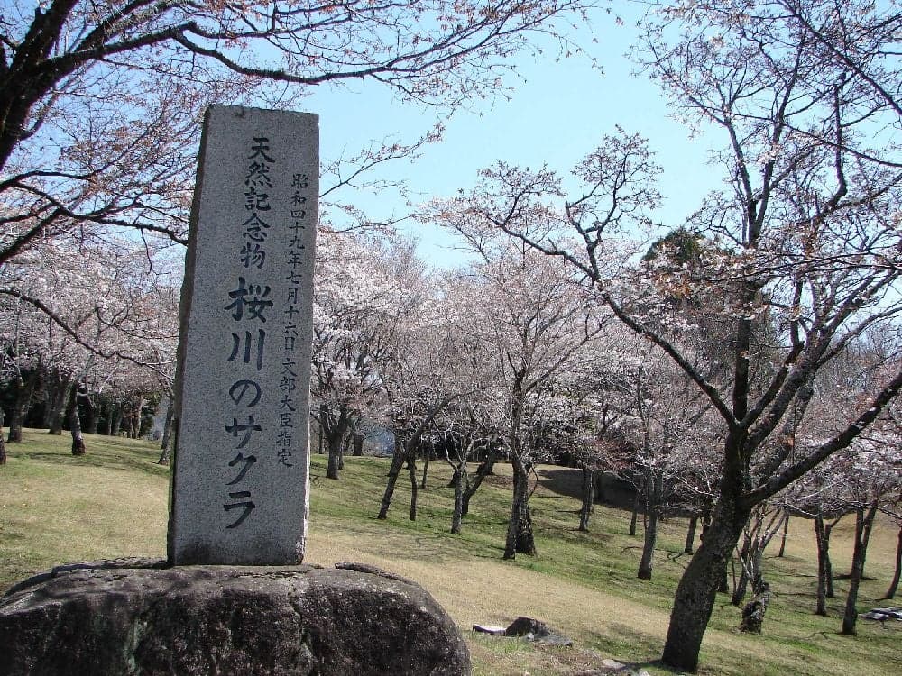 Sakuragawa Park Isobe