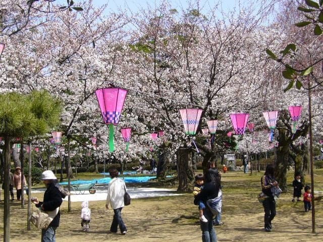 芦城公園の桜