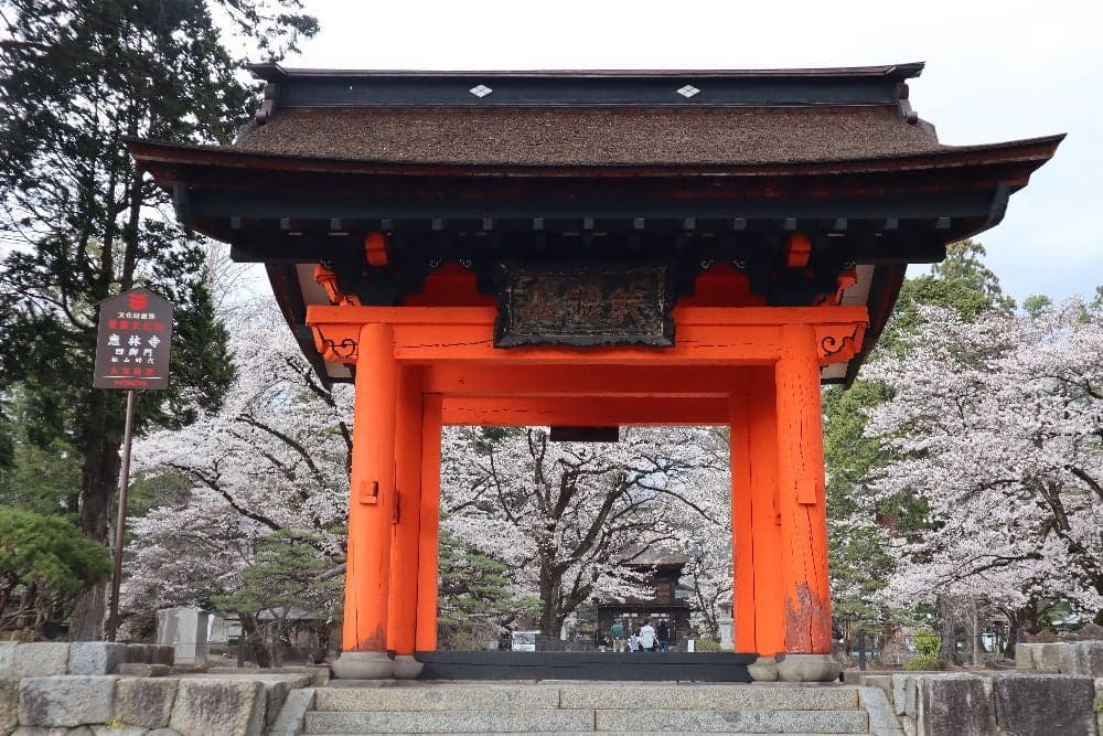 Cherry blossoms at Erin-ji Temple