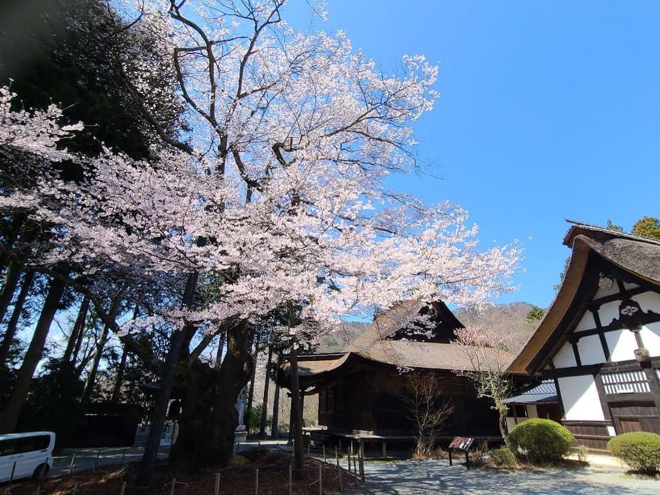 Edhiganzakura of Unminedera