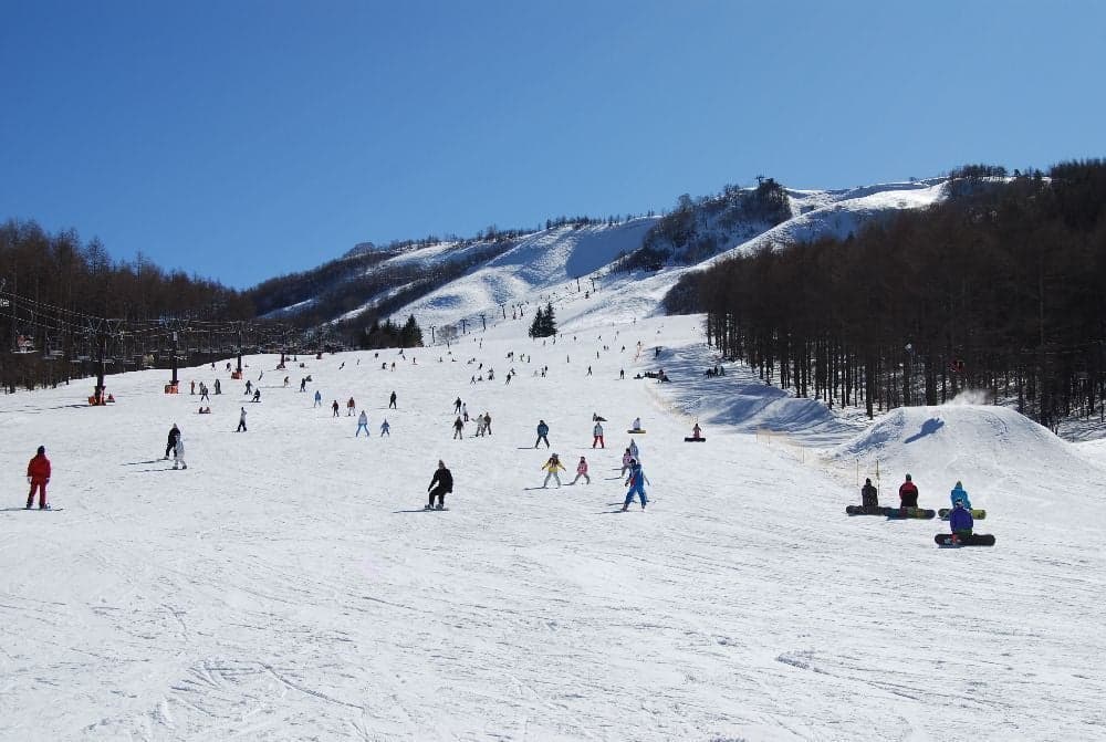 Shirakaba 2in1 Ski Resort