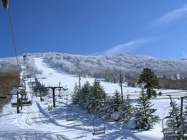 "Ichinose Family Ski Resort" in Shiga-kogen Central Area