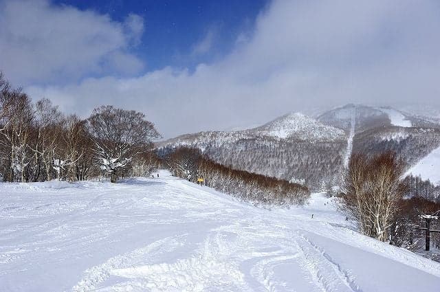 The central area of Shiga-kogen "Ichinoseyama no Kami Ski Resort"