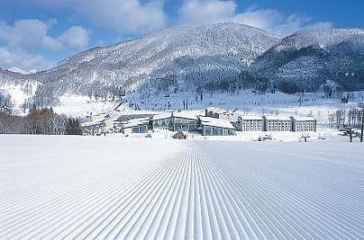 Tangram ski circus