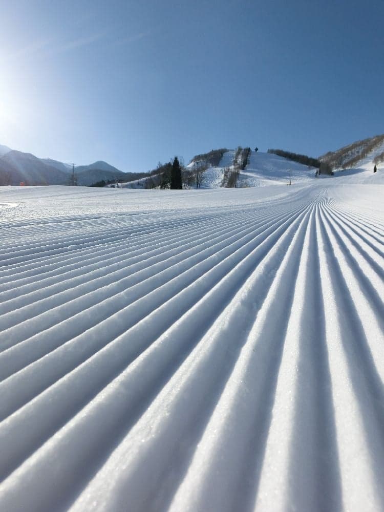 飛騨ほおのき平