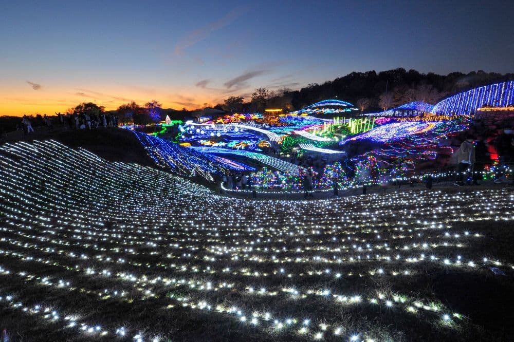 国営讃岐まんのう公園　ウィンターファンタジー