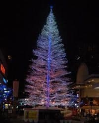 Illumination Festa 2024