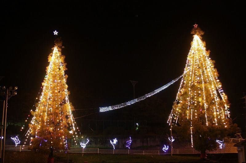 Festival Vitasnataris 2023