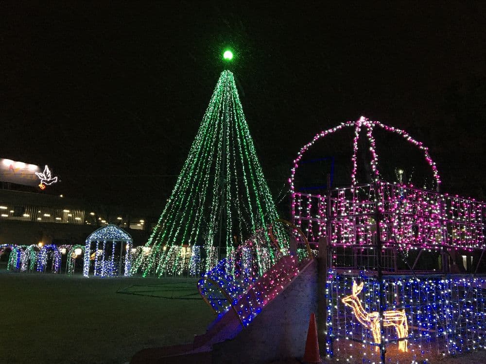 いさはや灯りファンタジア2022