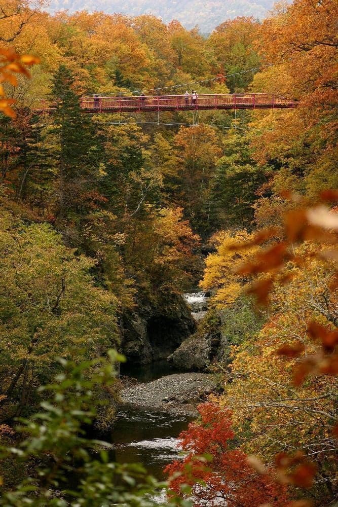 Autumn leaves of Iwanai-senkyo Gorge