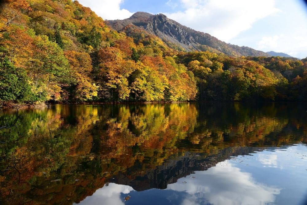 Autumn leaves of 12 lakes