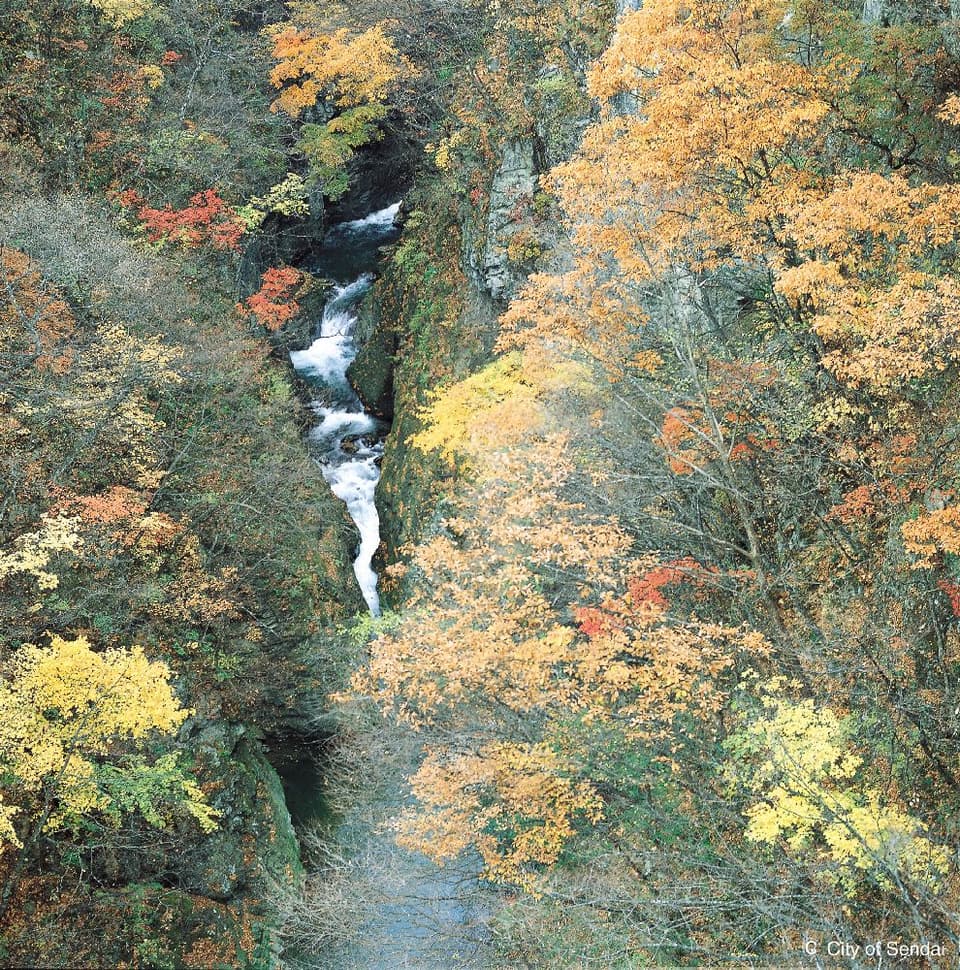 二口峡谷の紅葉