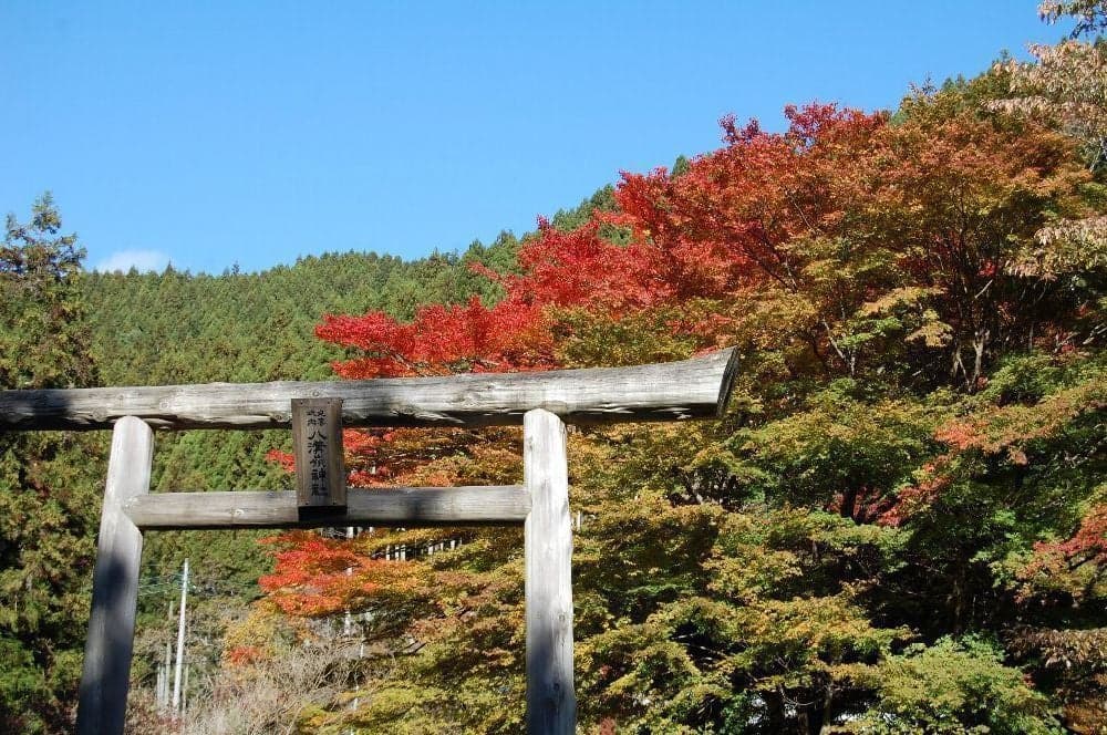 Autumn leaves of Mount Yamizo