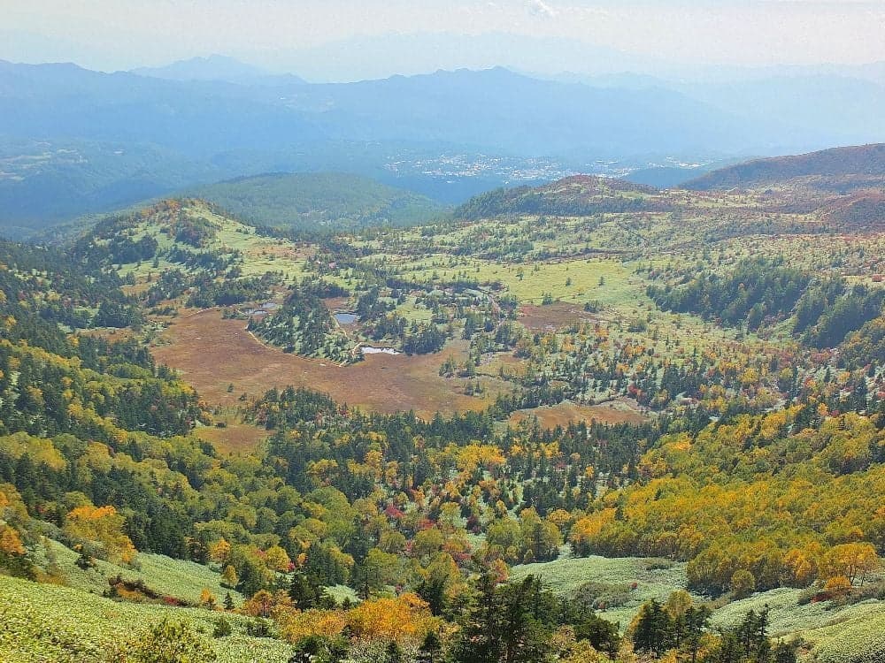 Autumn leaves on Shiga Kusatsu Kogen Route (National Route 292)