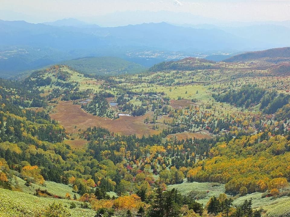 志賀草津高原ルート（国道292号）の紅葉