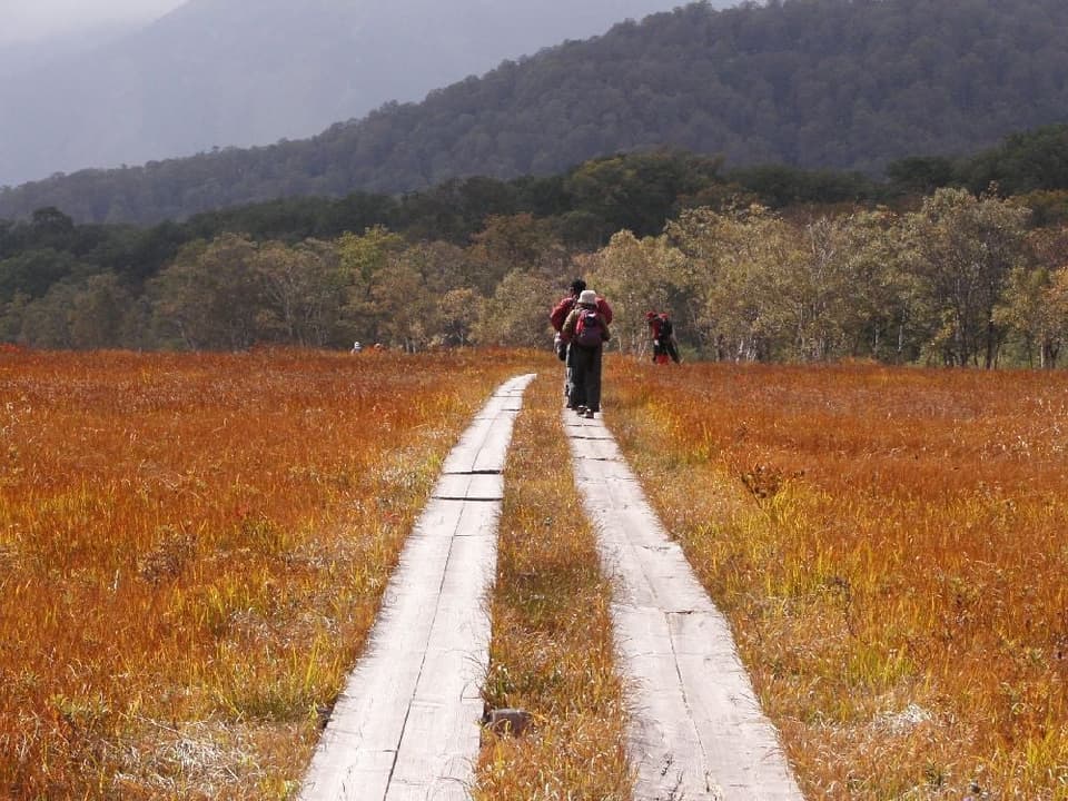 尾瀬（尾瀬ヶ原）の紅葉