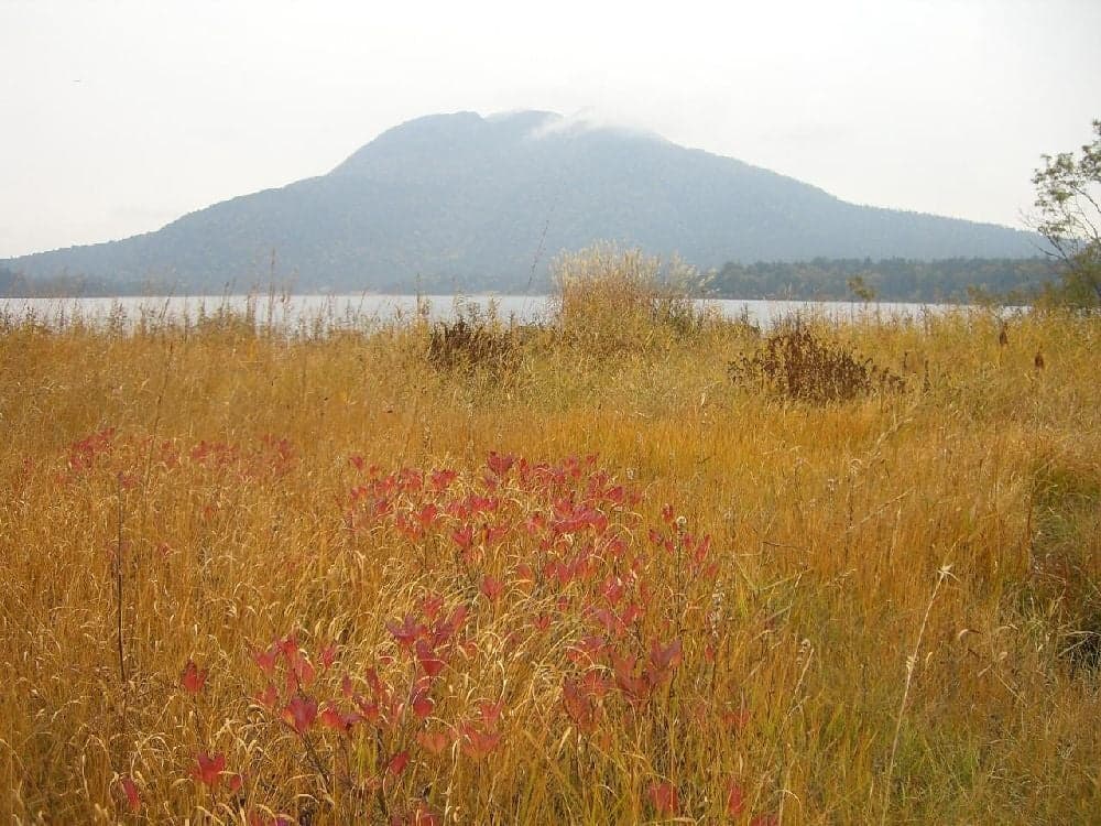 Autumn leaves in Oze (Lake Ozenuma)