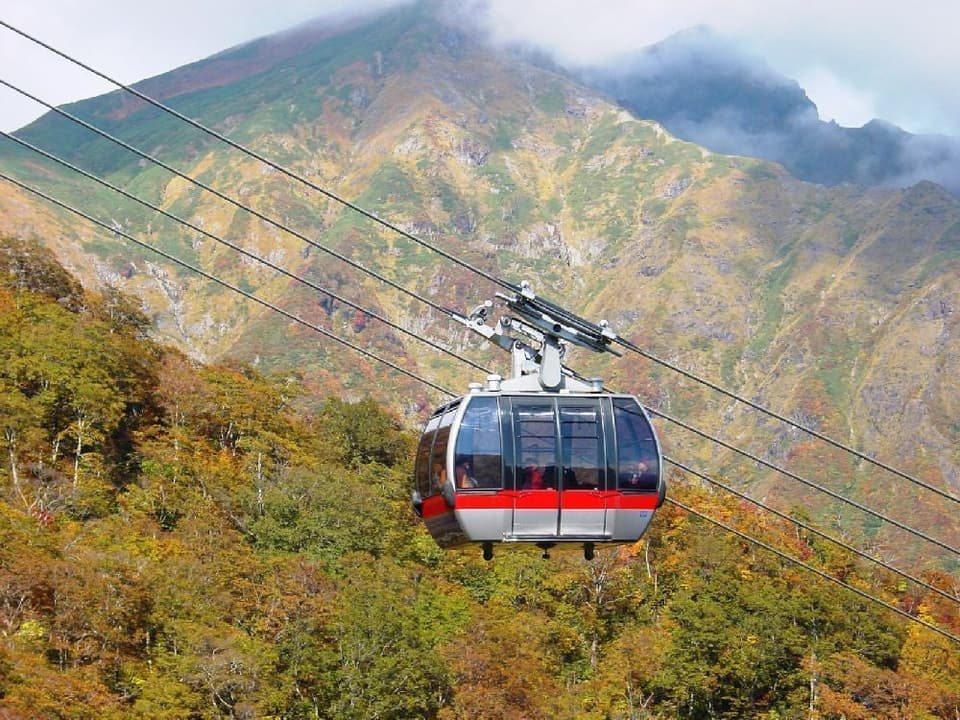 谷川岳天神平の紅葉