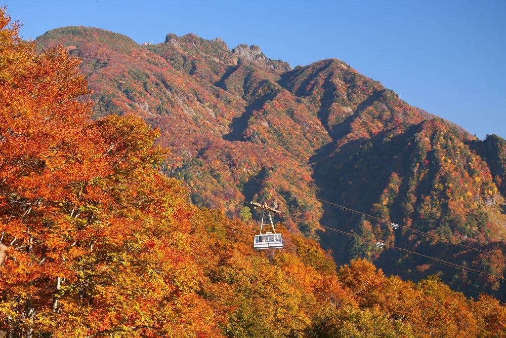 Autumn leaves on Hakkaisan Ropeway