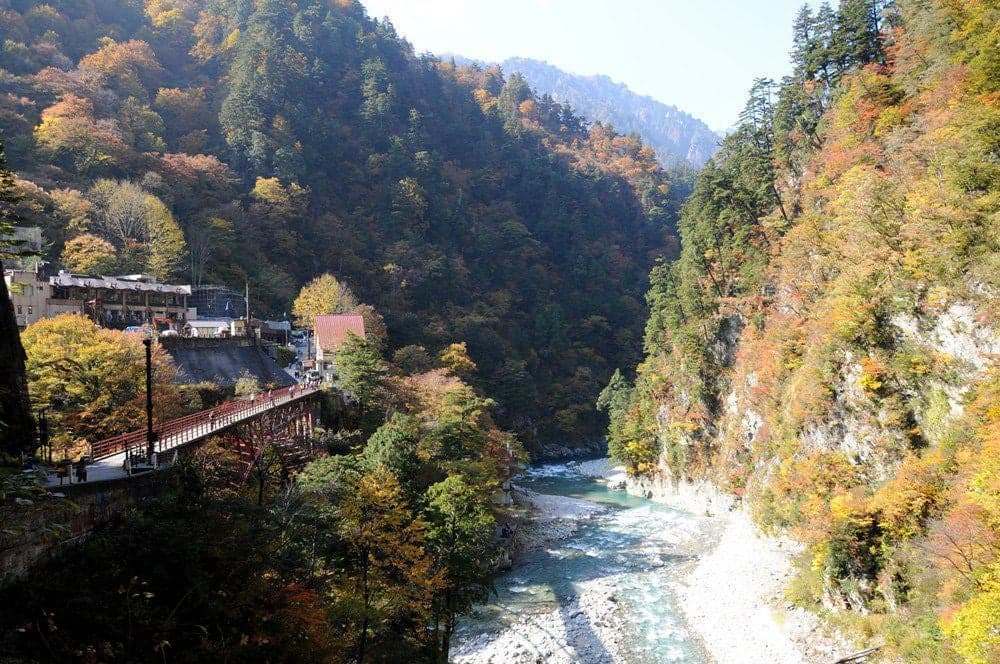 Autumn leaves in the Kurobe Gorge (around Keyakidaira Station)