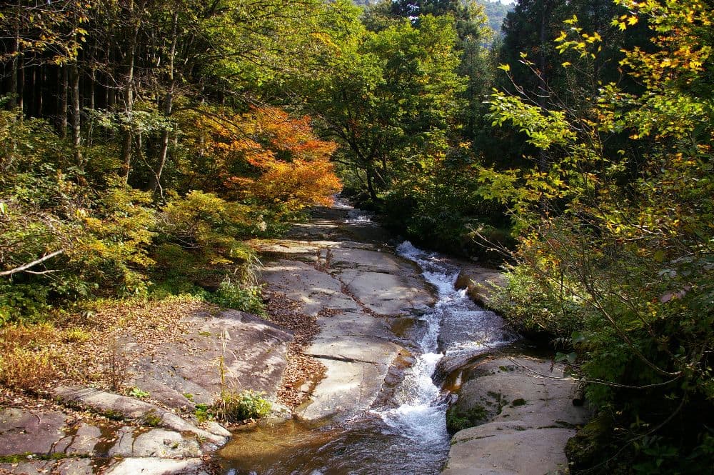 Autumn leaves of the waterfall of Momokaname and Ryujin