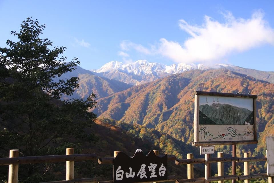 Autumn leaves on Hakusan Shirakawa-go White Road (Hakusan Observation Deck parking lot: near 1,350m above sea level)