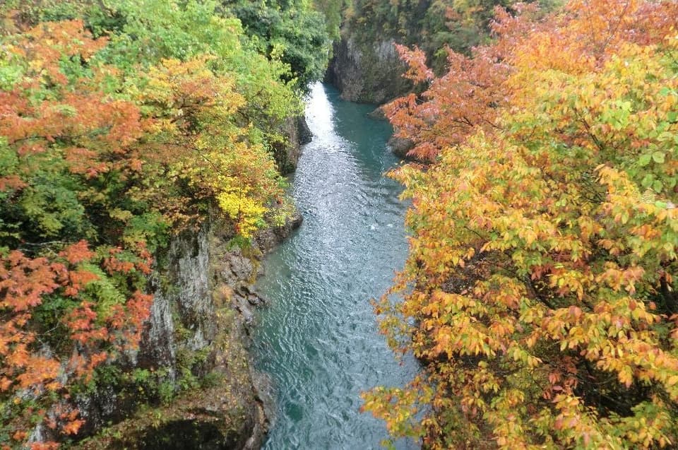Autumn leaves of Tetori Gorge
