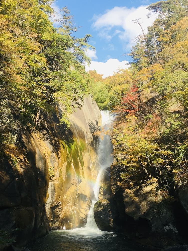 Autumn leaves of Mitake Shosenkyo Gorge
