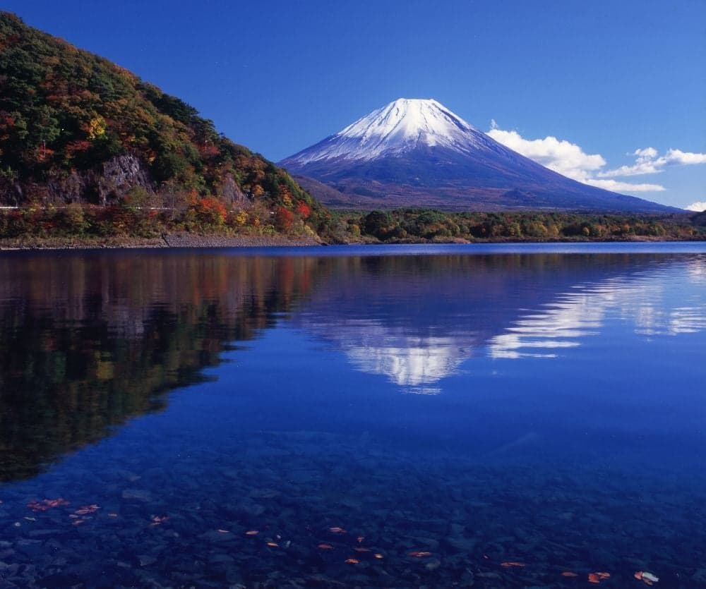 Autumn leaves in Lake Motosu