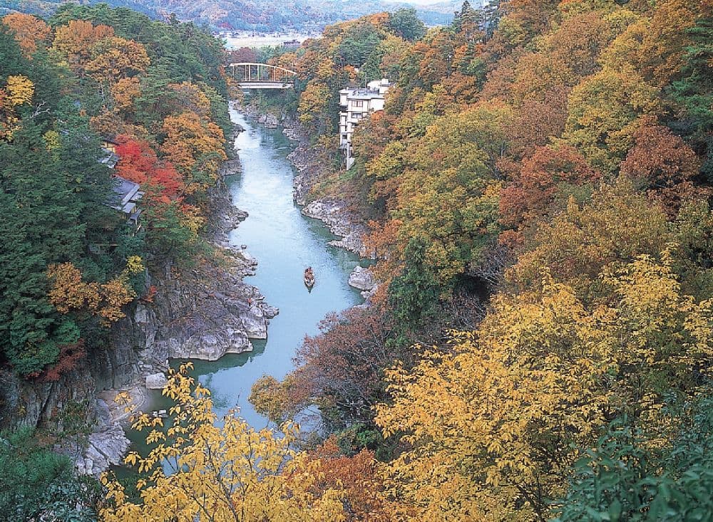 Autumn leaves of the scenic Tenryu Gorge