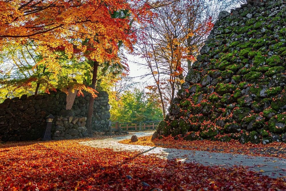 Autumn leaves of Komoro Castle Ruins Kaikoen